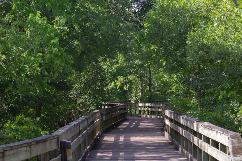 Abermar Tanglefoot Trail bridge